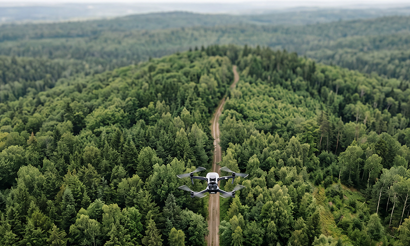 image of drone flying over forest Forestry Gears Up for a Technology Revolution